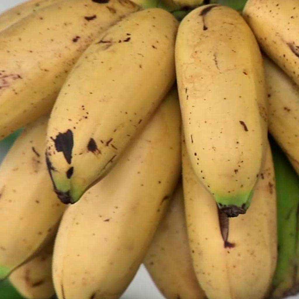 Plátano dominico