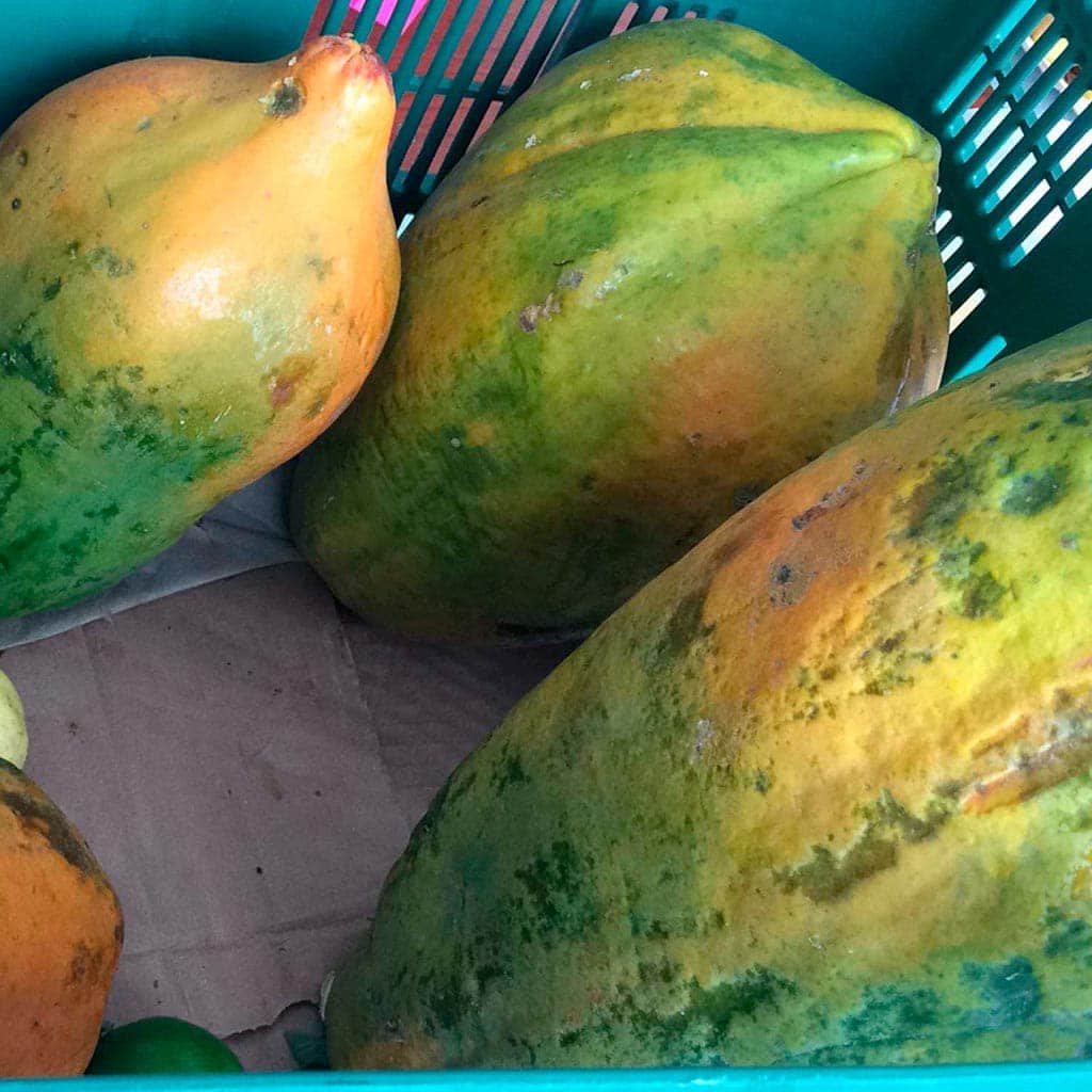 Papaya