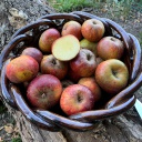 Manzana Roja