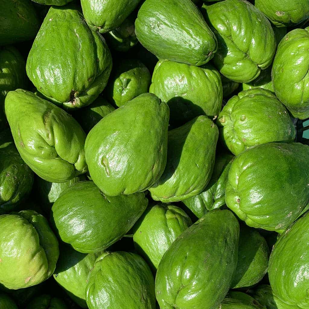 Chayote Verde para comida