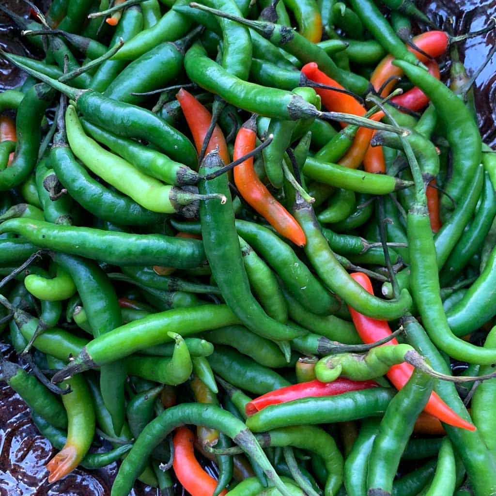 Chiles serranos