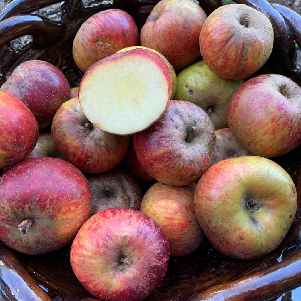 Manzana Roja