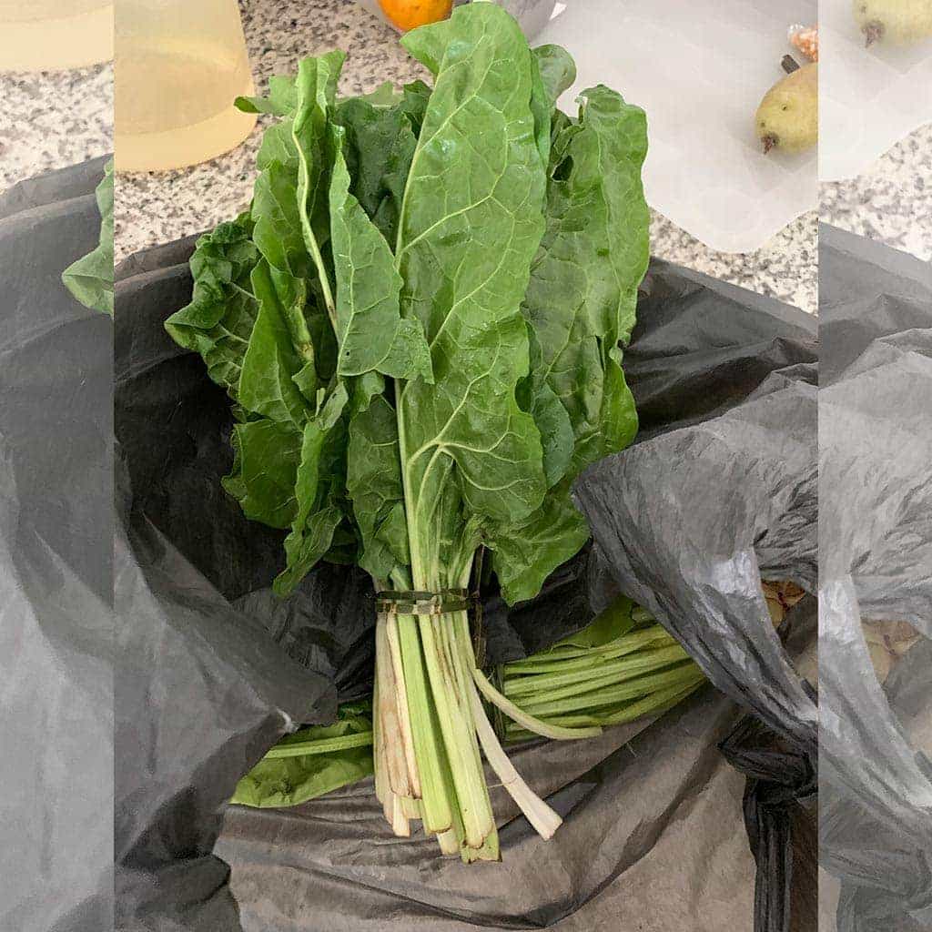 Lechuga Orejona